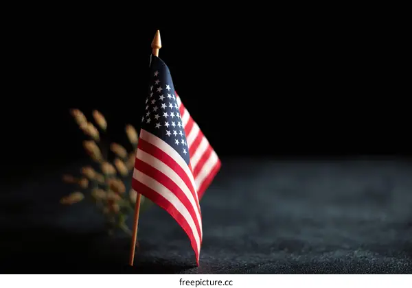 American Flag on a Dark Background