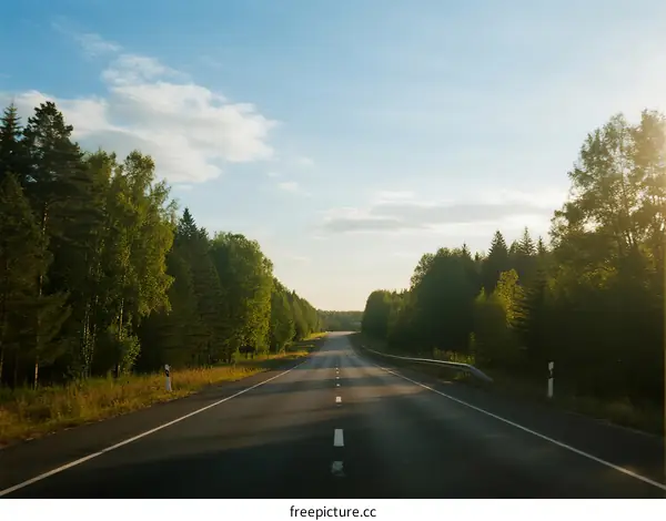 A peaceful road surrounded by lush green trees under a clear sky