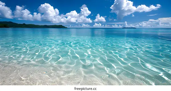 Tropical Beach With Crystal Clear Blue Water