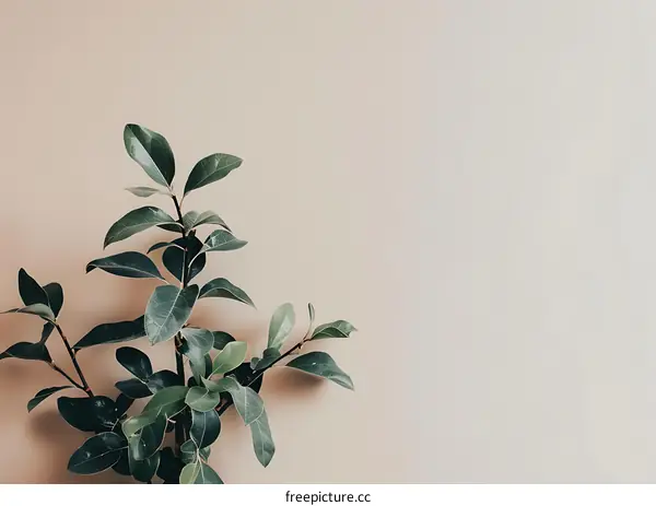 Green Leaves On A Light Beige Wall