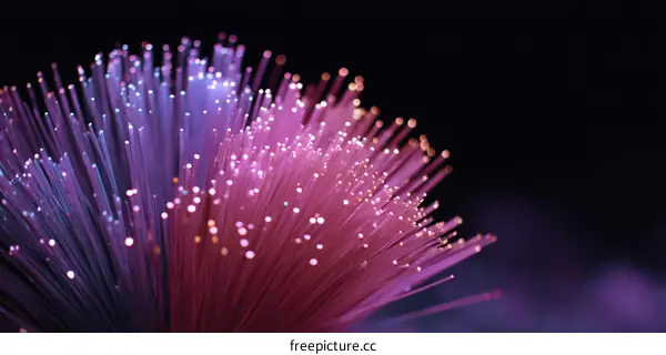 Fiber Optics Technology Close-up