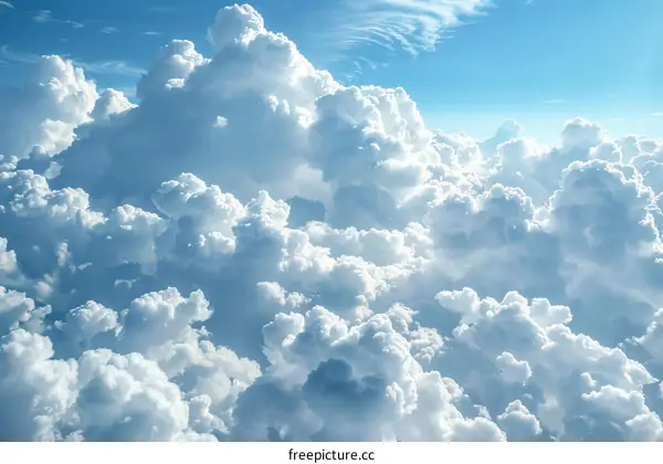 Above the Clouds: A Journey Through the Sky