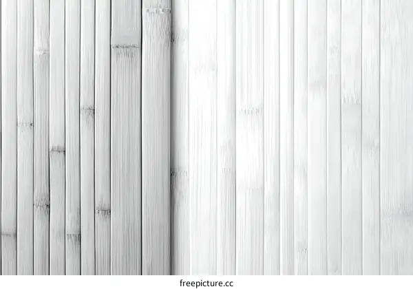 Close up view of White Bamboo Wall