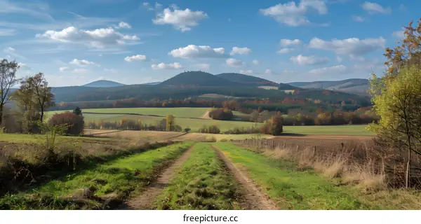 Country road in the middle of green fields and forests with mountains in the distance