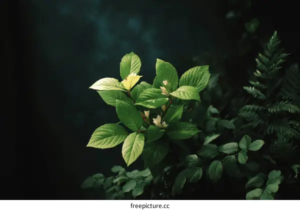 Natures Embrace of Green Leaves