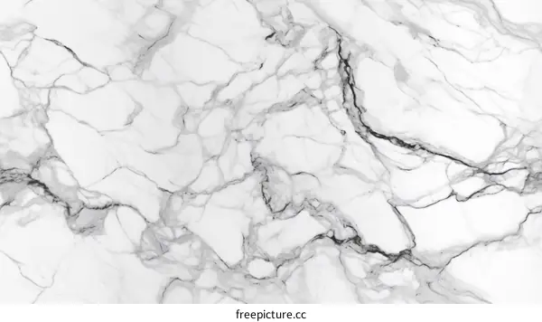 Black and white marble texture background