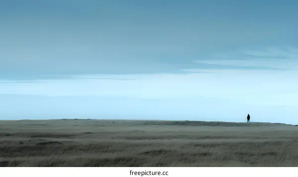 Single Figure Standing in Field with Cloudy Sky