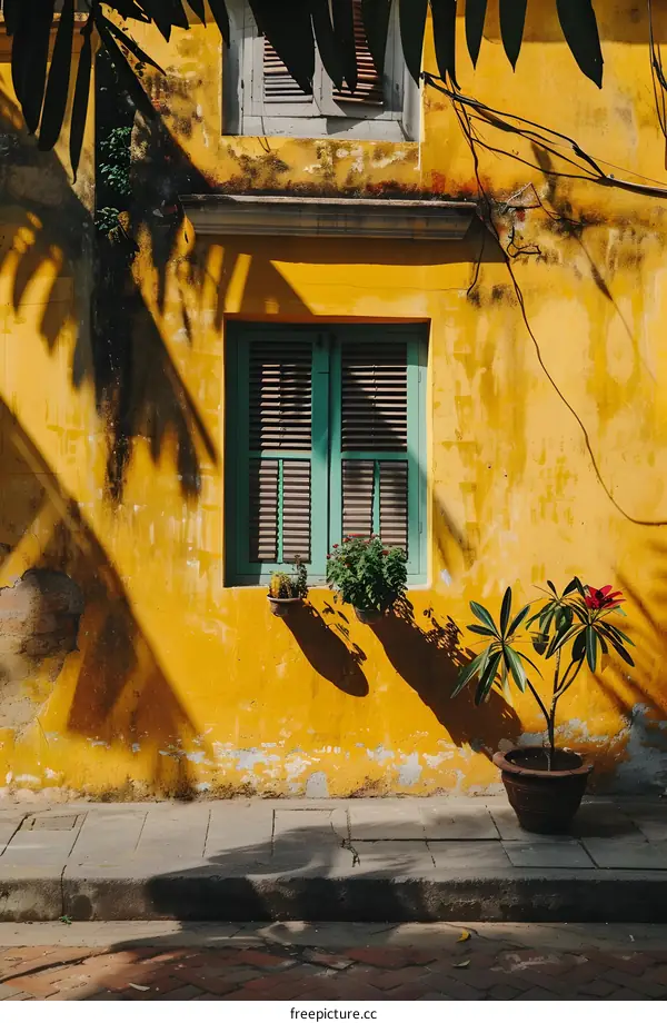 Yellow Wall with Green Window and Plant