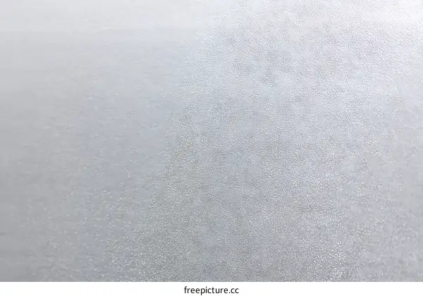 Abstract Light Gray Surface Texture