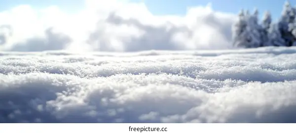 Closeup Winter Snow Cover