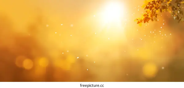Golden Hour Autumnal Sunset Nature Background