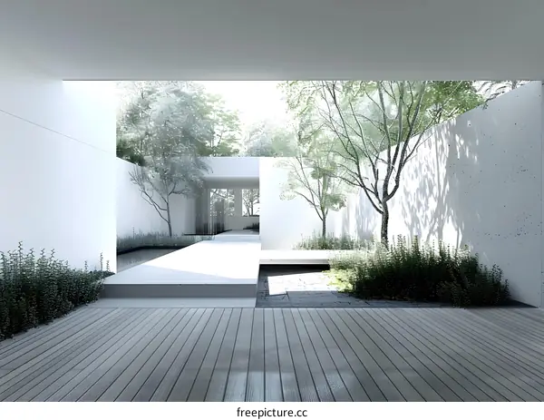 Minimalist Modern Courtyard Design With White Walls and Green Plants
