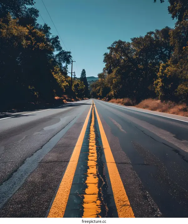 Empty Road Through Trees With Yellow Lines