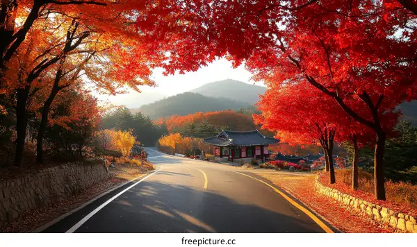 Autumn Road with Vibrant Maple Trees