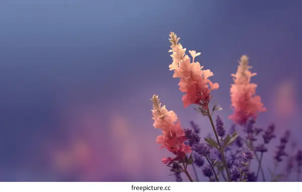 Pastel Floral Artistic Illustration