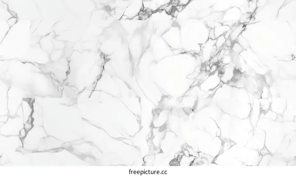 Elegant White Marble Texture With Dark Veins