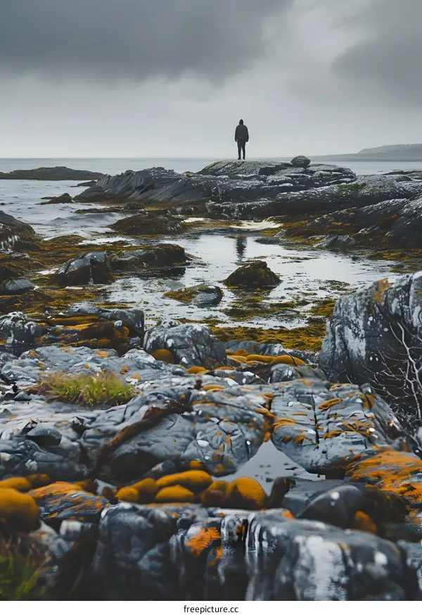 Lonely Figure Standing on Rocky Coastline with Stormy Sky
