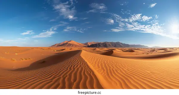 Sand Dunes in the Desert