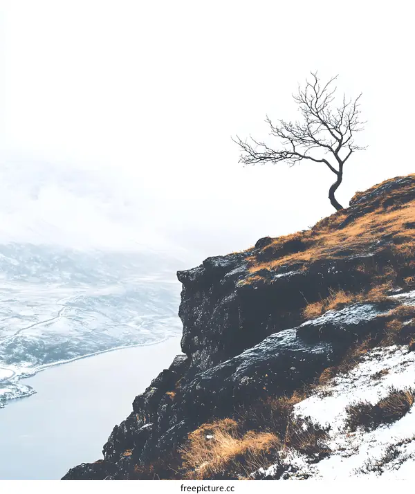 Lonely Tree on a Mountain Cliff with Foggy View