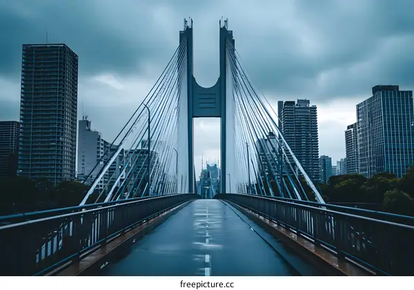 Suspension Bridge Over Cityscape in Japan