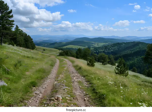 The image shows a beautiful mountain landscape with a winding road in the foreground.