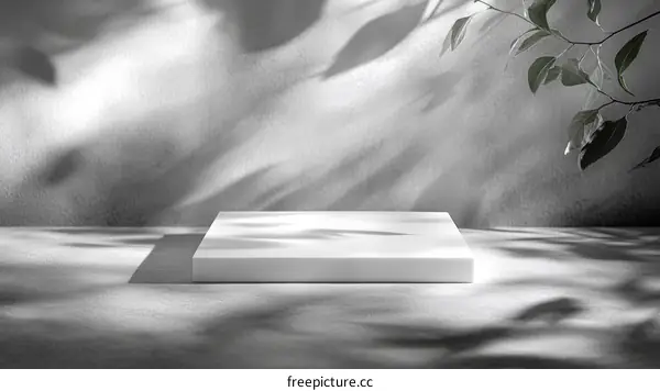 Modern Minimalist Product Display with Natural Light