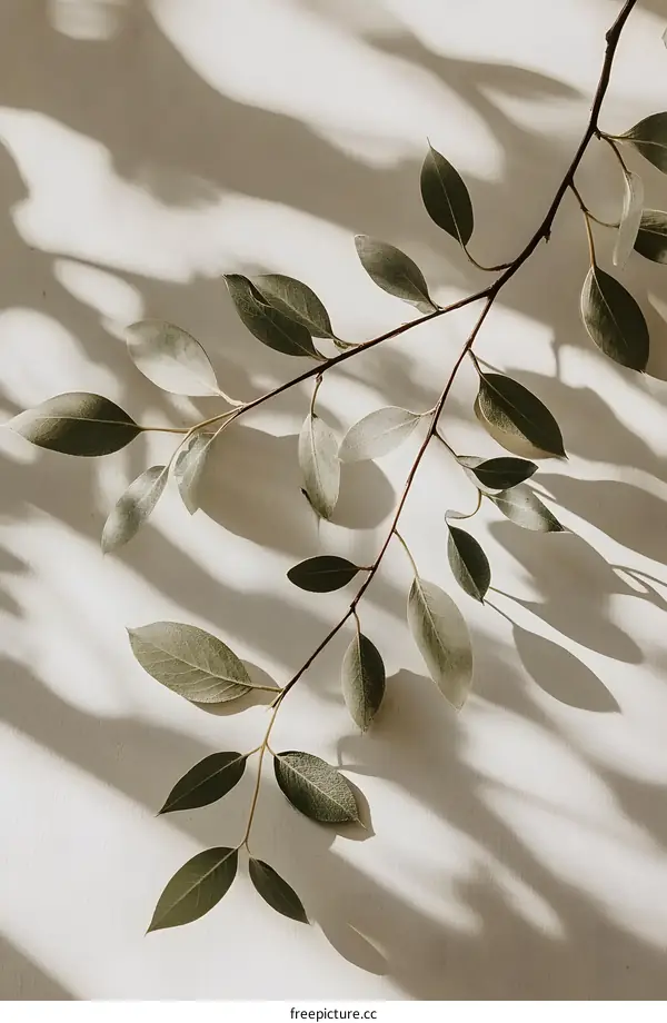 Green Branch with Soft Light and Shadows