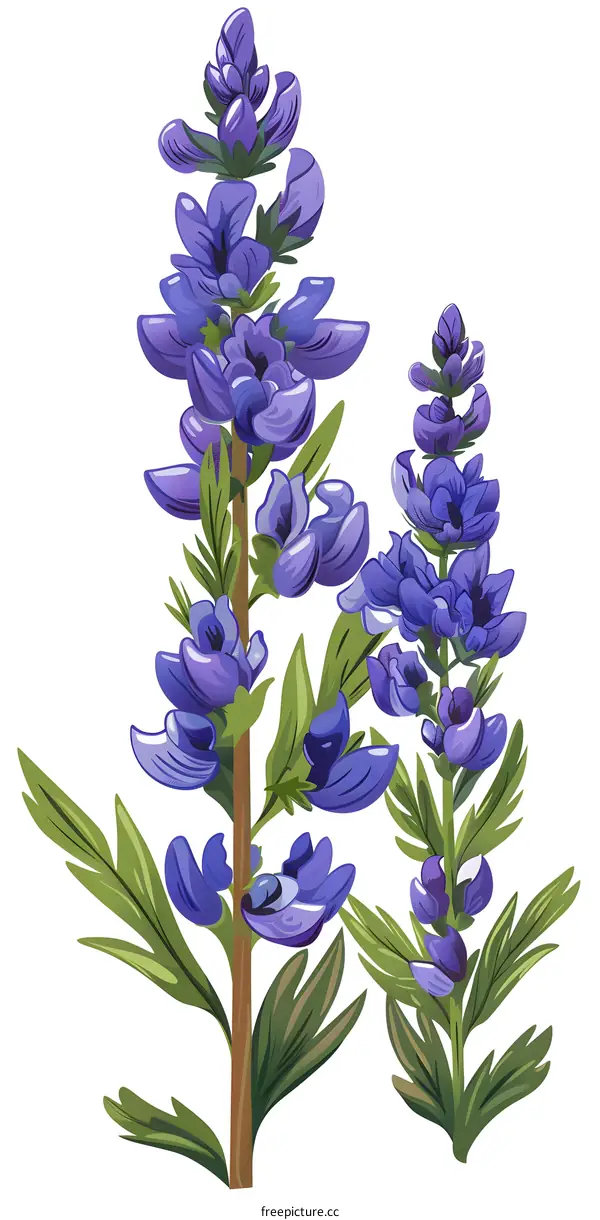 Purple Flower Illustration