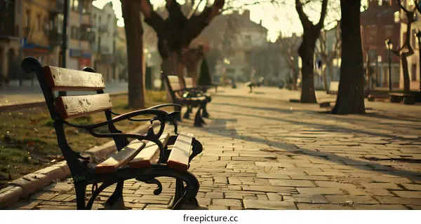 Empty Bench in a Sunny City Park