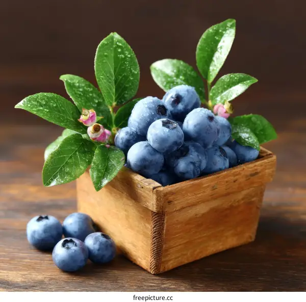 Fresh Blueberries in Wooden Crate