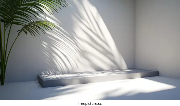 Empty Gray Product Display Podium with Palm Tree Shadow