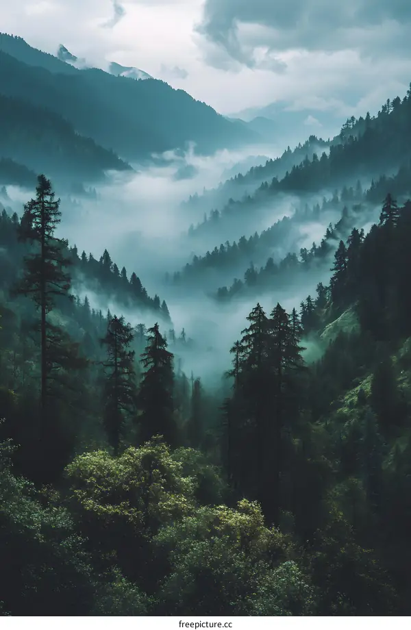 Misty Mountain Range Landscape