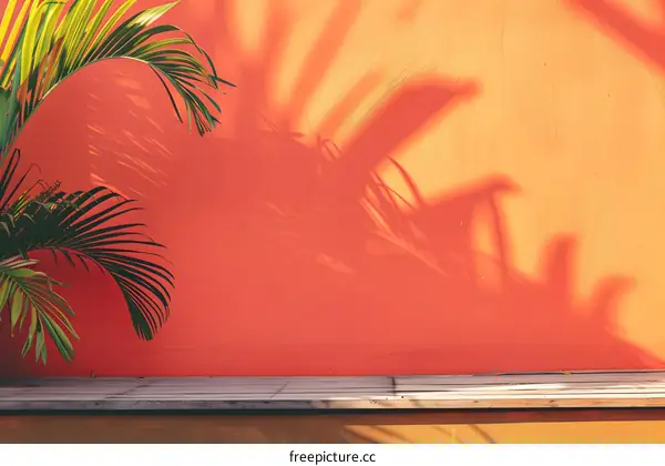 Palm Tree Shadow on Orange Wall and Wooden Platform