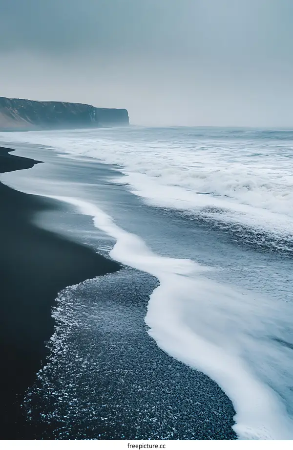 Black Sand Beach with Waves