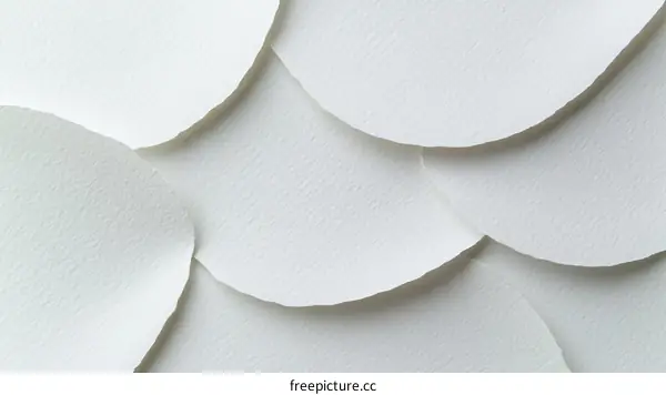 Abstract White Paper Texture Design