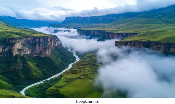 Misty Mountain Valley Landscape Photography