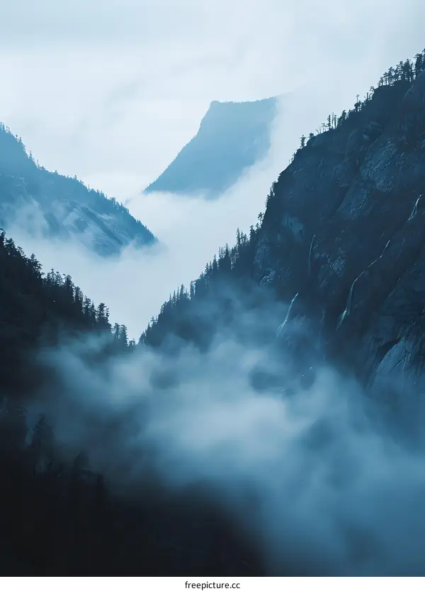 Mountain Range Covered in Fog
