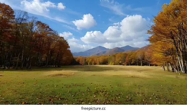 colorful autumn forest with blue sky and white clouds