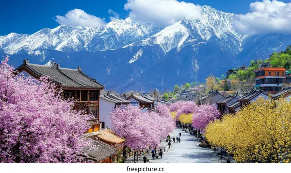 Spring Cherry Blossoms in a Mountain Village in China