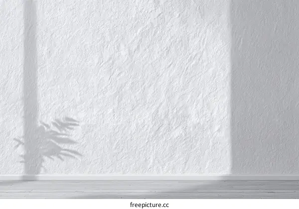 White Wall with Shadow of a Plant