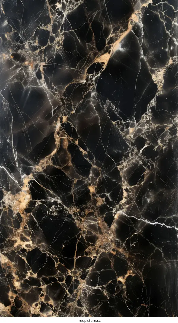 Black and gold marble texture background