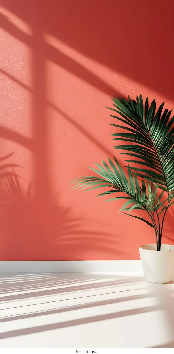 Minimalist Interior Design with Palm Tree and Sunlight