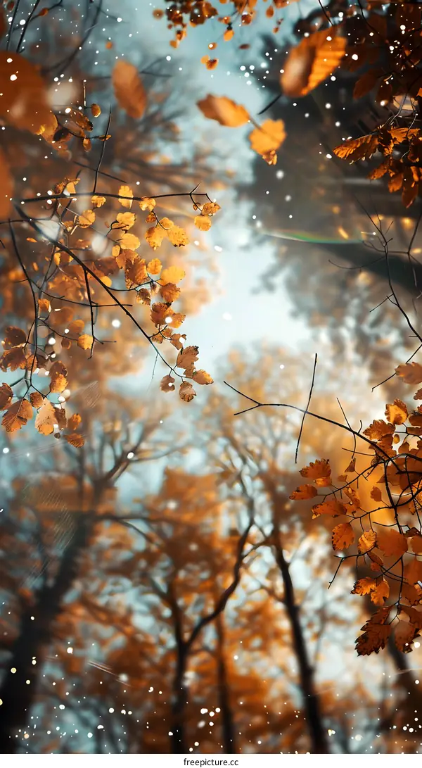 Autumn Leaves Falling From Trees In Forest