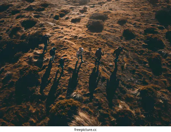 Aerial View of Five People Walking on a Grassy Hill