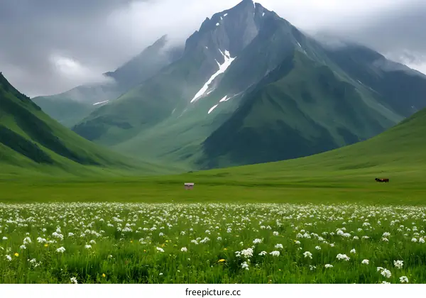Mountain Landscape with White Flowers