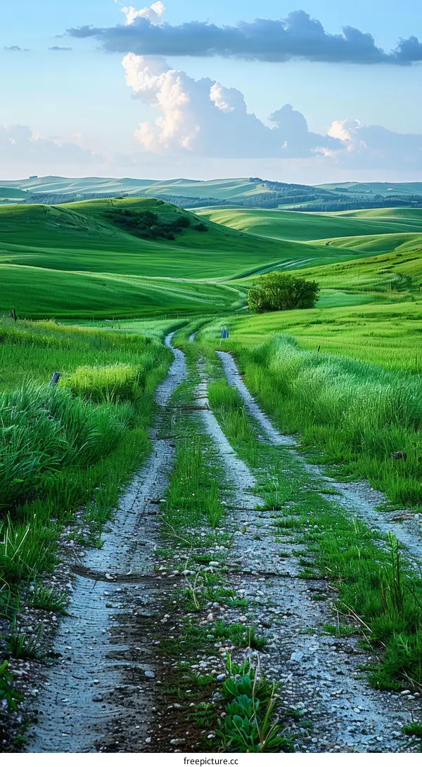 Scenic view of a rural road through green rolling hills