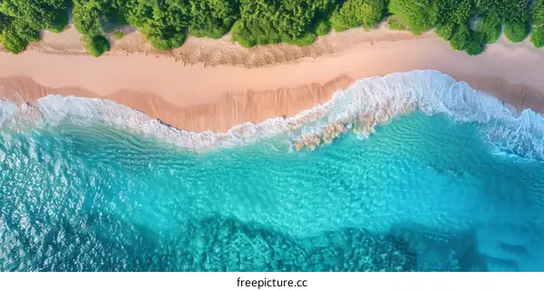 Aerial View of a Tropical Beach with Turquoise Water