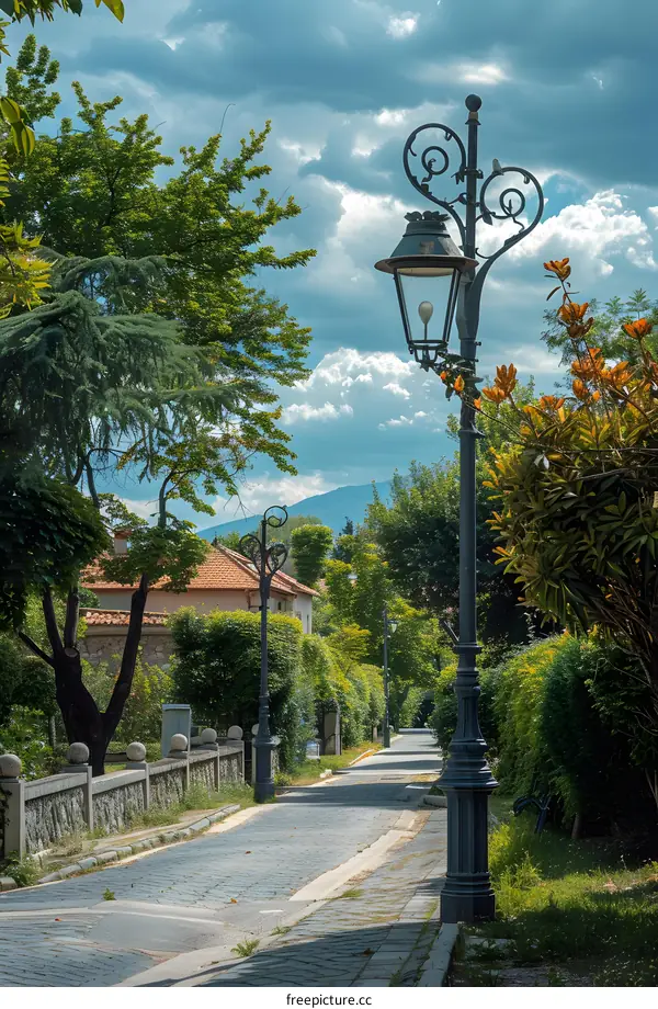A tree-lined path with a lamp post in the foreground