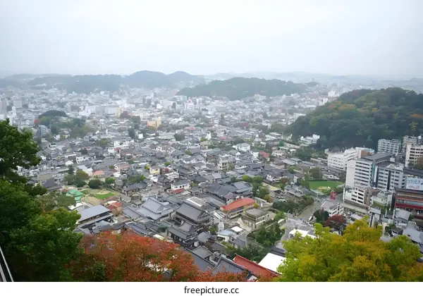 Aerial View of Japanese Cityscape with Mountains in the Background