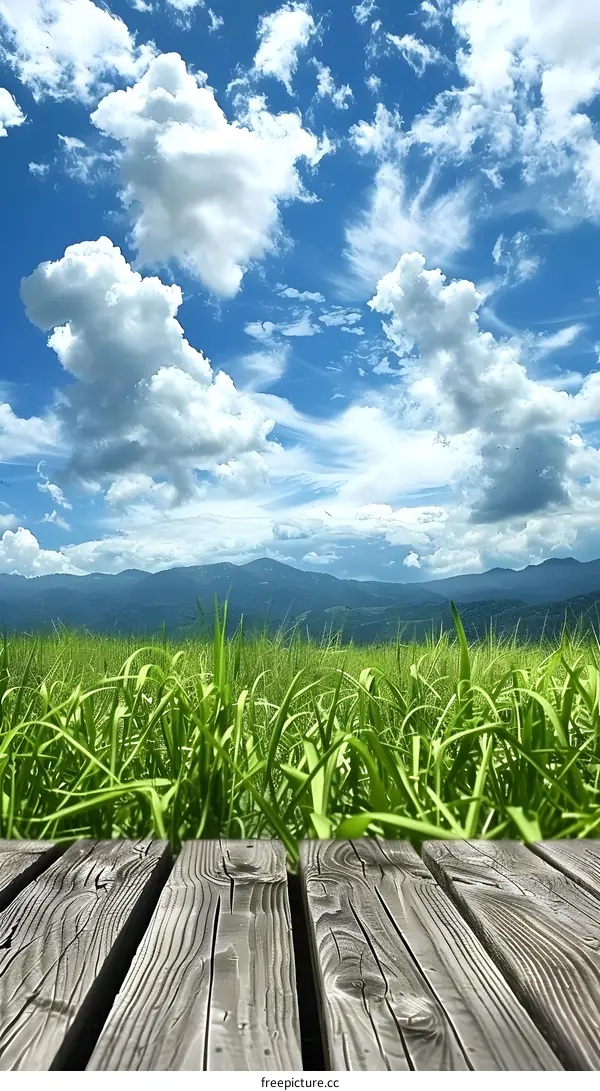 Green Grass And Blue Sky With Wooden Plank